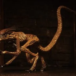 NECA Alien 3 Figuren - Accessory Creature Pack 14 NECA Alien 3 Figuren - Accessory Creature Pack -Film Figuren Verkäufe 0046fe1c77a8a7e5309f55b9dced346b04cb13598c9af63b0134fa980ca21499