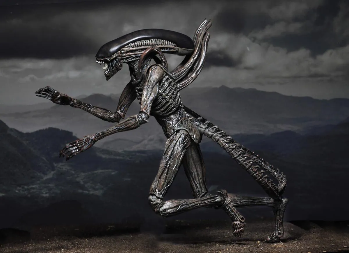 NECA Alien Covenant - Xenomorph Alien Actionfigur 9 NECA Alien Covenant - Xenomorph Alien Actionfigur – Bild 7