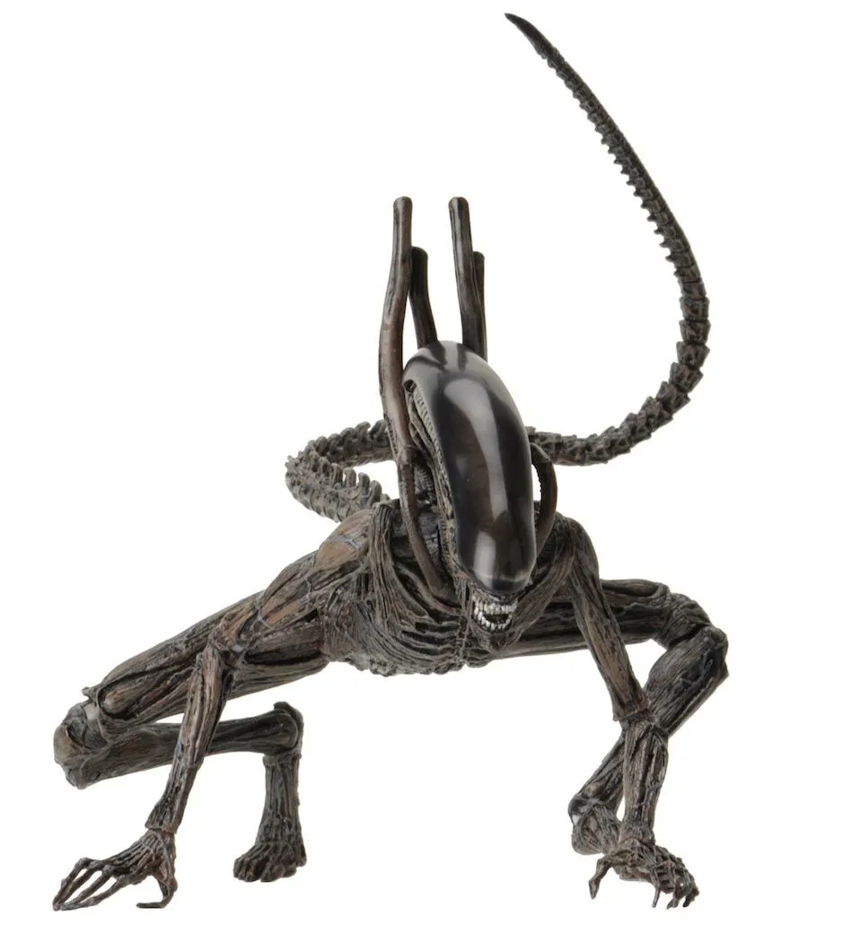 NECA Alien Covenant - Xenomorph Alien Actionfigur 6 NECA Alien Covenant - Xenomorph Alien Actionfigur – Bild 4
