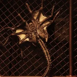 NECA Alien 3 Figuren - Accessory Creature Pack 13 NECA Alien 3 Figuren - Accessory Creature Pack -Film Figuren Verkäufe 650519fd1d02afade92b6220134166a09d18ce077c8a3c76c37d959917e68d3f