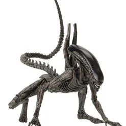 NECA Alien Covenant - Xenomorph Alien Actionfigur 13 NECA Alien Covenant - Xenomorph Alien Actionfigur -Film Figuren Verkäufe 78383975e136ddc68107137173ba2fdaf95027b36699aeefebb7170ff3e1721d