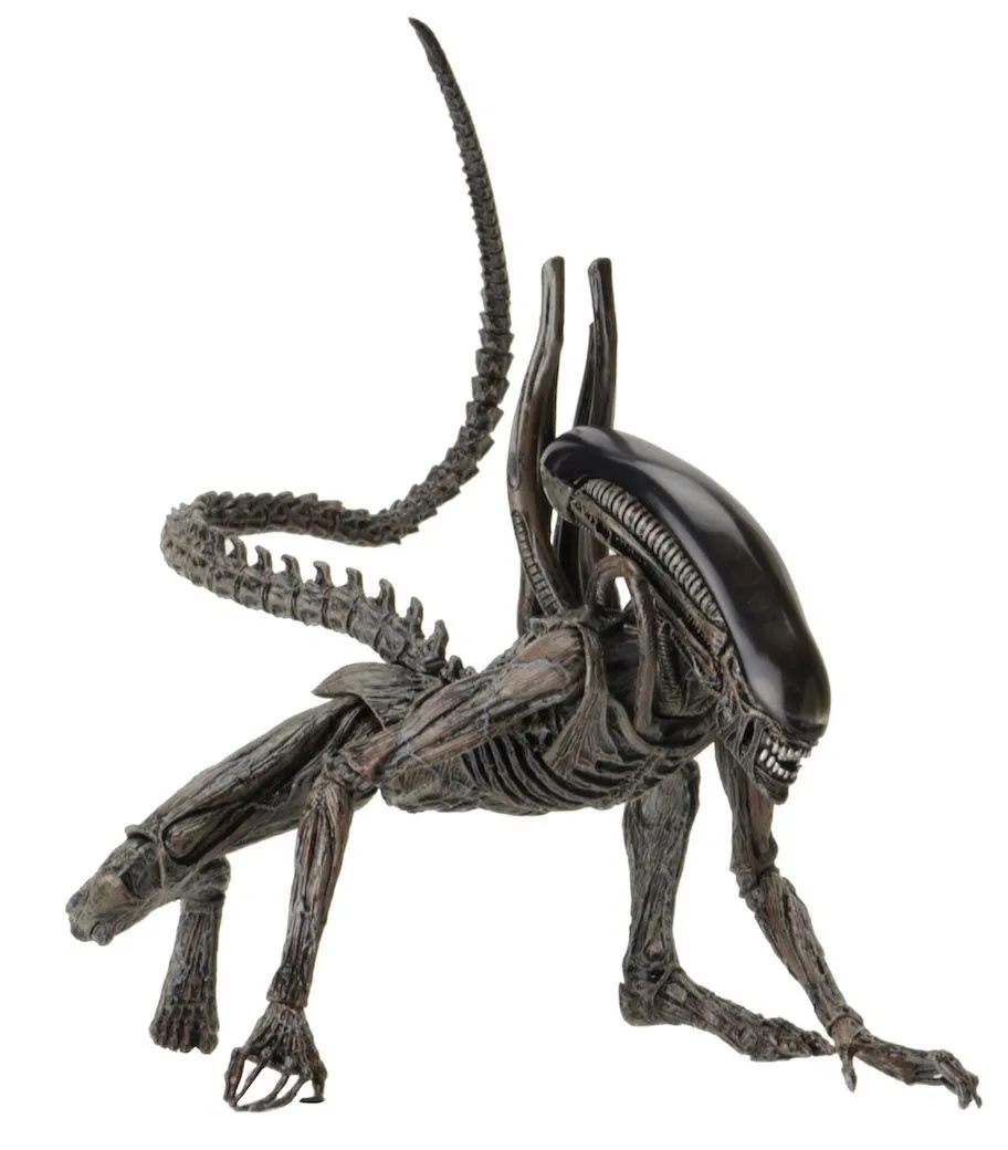 NECA Alien Covenant - Xenomorph Alien Actionfigur 7 NECA Alien Covenant - Xenomorph Alien Actionfigur – Bild 5