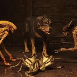 NECA Alien 3 Figuren - Accessory Creature Pack 15 NECA Alien 3 Figuren - Accessory Creature Pack -Film Figuren Verkäufe a1f642c7b0b2c68b19a38fc1e26214233c46e02c91f776aac2cb4138d4a113e8