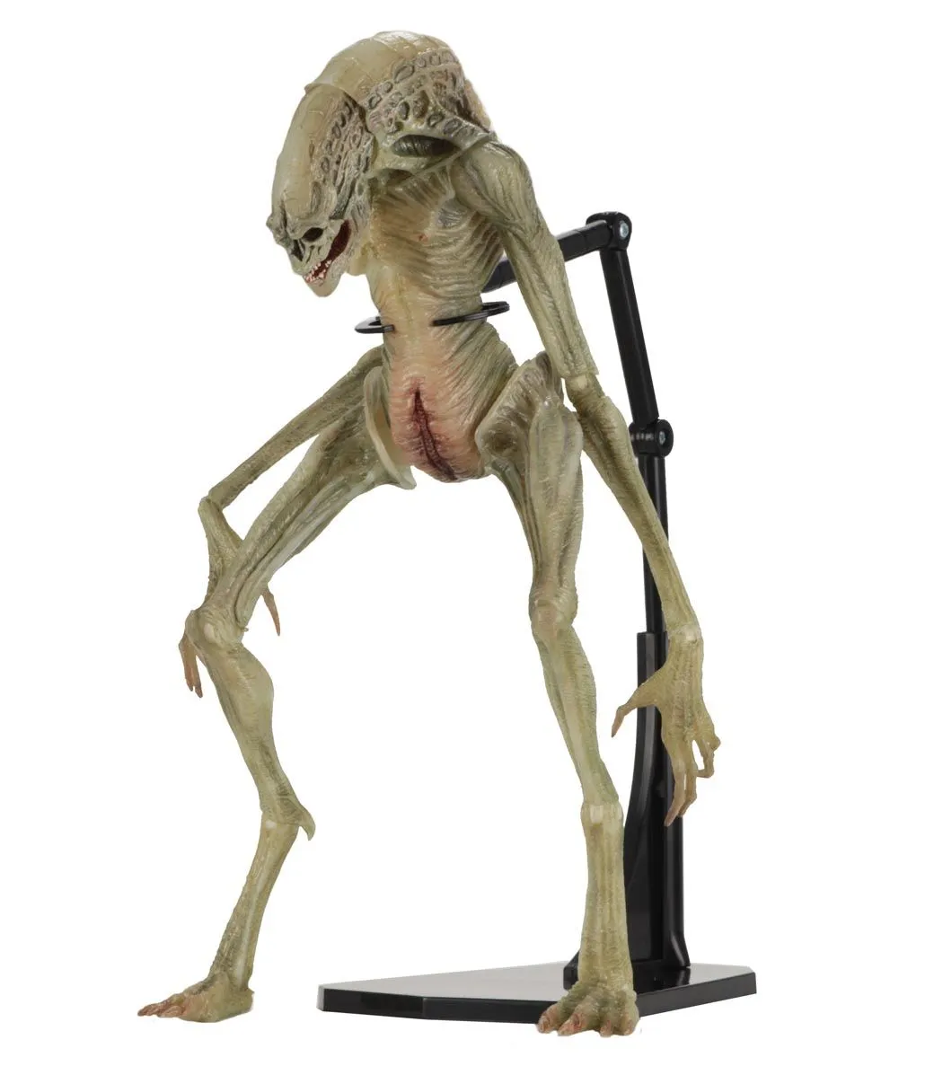 NECA Aliens - Deluxe Alien Resurrection Newborn Figur 3 NECA Aliens - Deluxe Alien Resurrection Newborn Figur