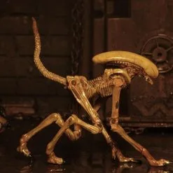 NECA Alien 3 Figuren - Accessory Creature Pack 12 NECA Alien 3 Figuren - Accessory Creature Pack -Film Figuren Verkäufe de51bd7fb6be4e3ab07d26cf127706684e4924fcab15c310b557e8f706400faf