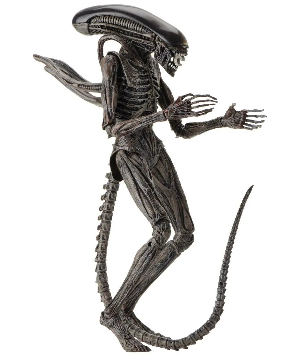NECA Alien Covenant - Xenomorph Alien Actionfigur 8 NECA Alien Covenant - Xenomorph Alien Actionfigur – Bild 6