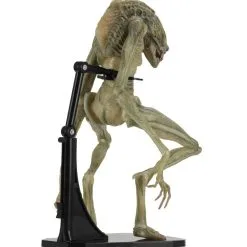 NECA Aliens - Deluxe Alien Resurrection Newborn Figur 12 NECA Aliens - Deluxe Alien Resurrection Newborn Figur -Film Figuren Verkäufe f29846550798f2ad88ab5c25d64eb87faac51ca8071cd3506dec1eb2b6352b6d