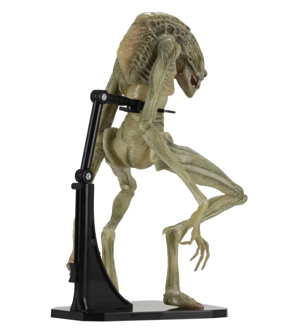 NECA Aliens - Deluxe Alien Resurrection Newborn Figur 6 NECA Aliens - Deluxe Alien Resurrection Newborn Figur – Bild 4