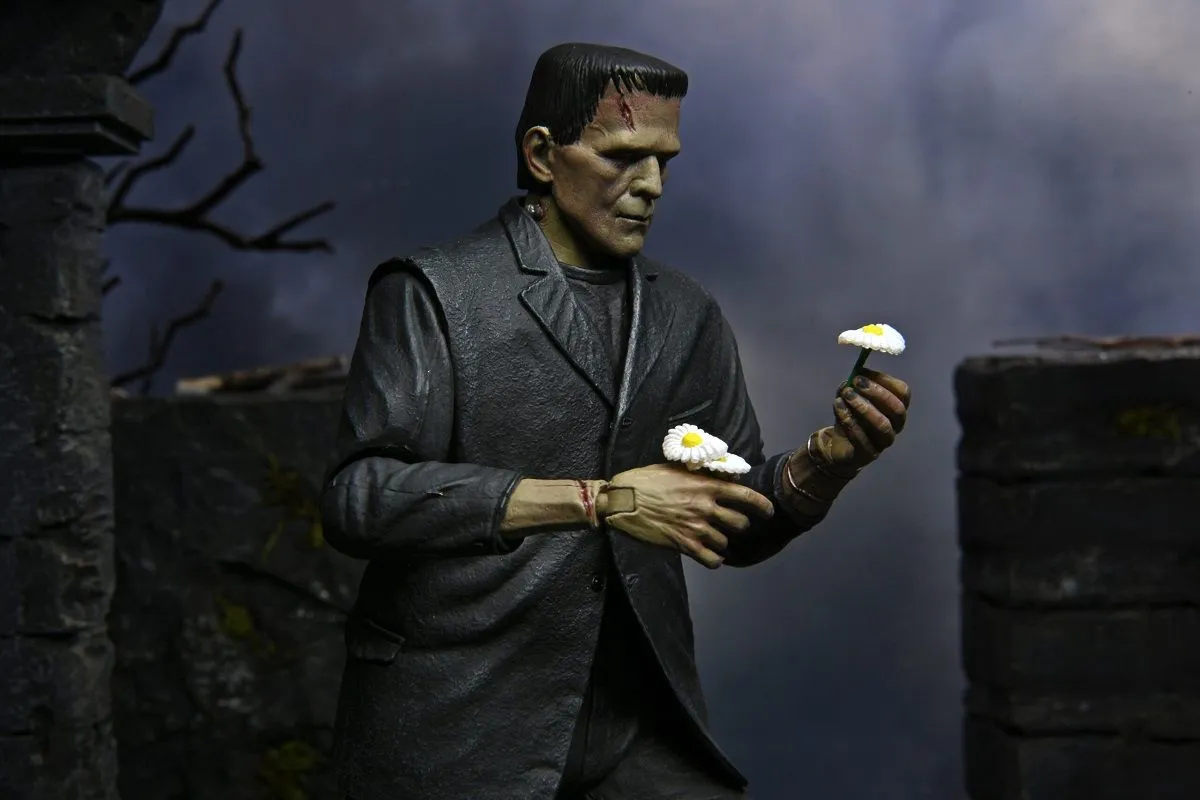 NECA Universal Monster Figur- Ultimate Frankensteins Monster (Color) 18 NECA Universal Monster Figur- Ultimate Frankensteins Monster (Color) – Bild 16