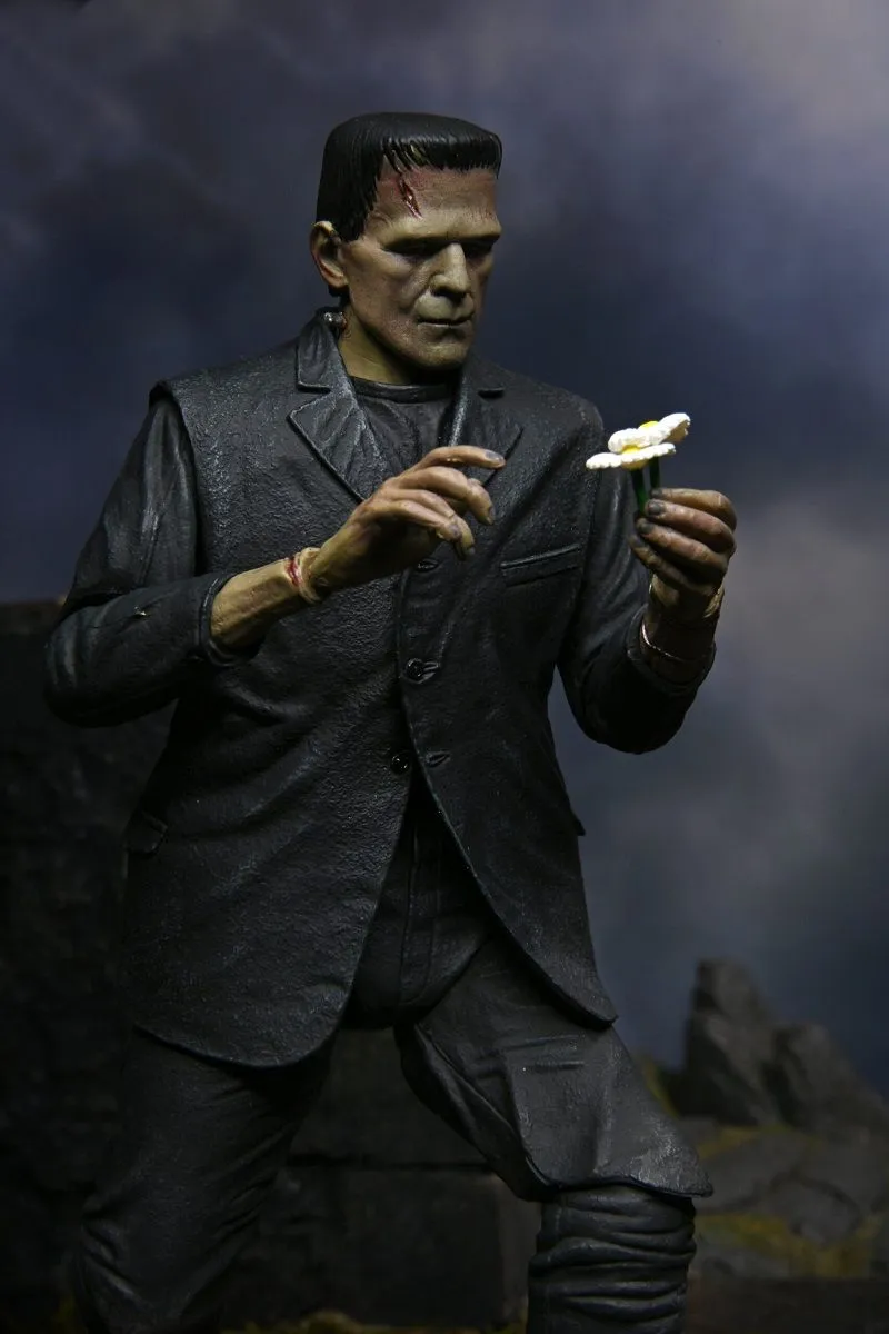 NECA Universal Monster Figur- Ultimate Frankensteins Monster (Color) 19 NECA Universal Monster Figur- Ultimate Frankensteins Monster (Color) – Bild 17